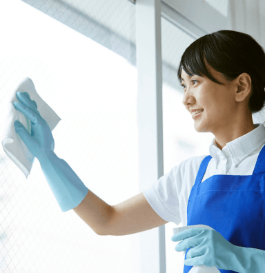 Premier Cleaning Service